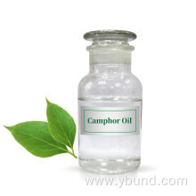 Wholesale Camphor Essential Oil